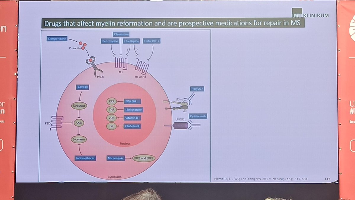 Interesting insights into myelin repair for MS in the "Serendipity in Research" session at <a href="/BrainDays/">Brain Innovation Days</a>  #BIDays