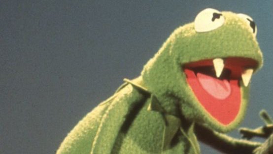 #VampireAcademy characters as frogs (a thread)