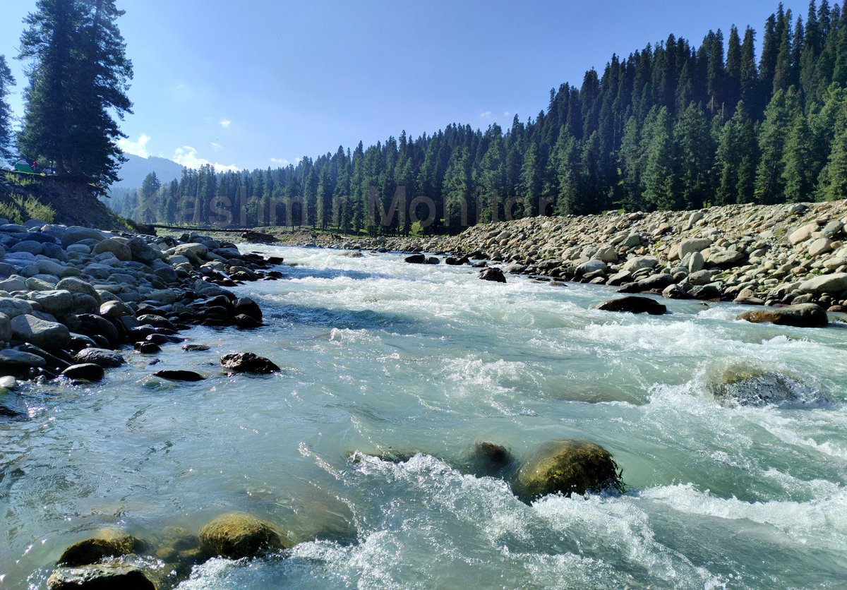 Kashmir_Monitor's tweet photo. Chiranbal is the largest sub-alpine, tourist attraction meadow and a hiking destination in Kulgam district of South Kashmir.

Photos KM / @UmarGanie1 https://t.co/dFaK6S6lSJ