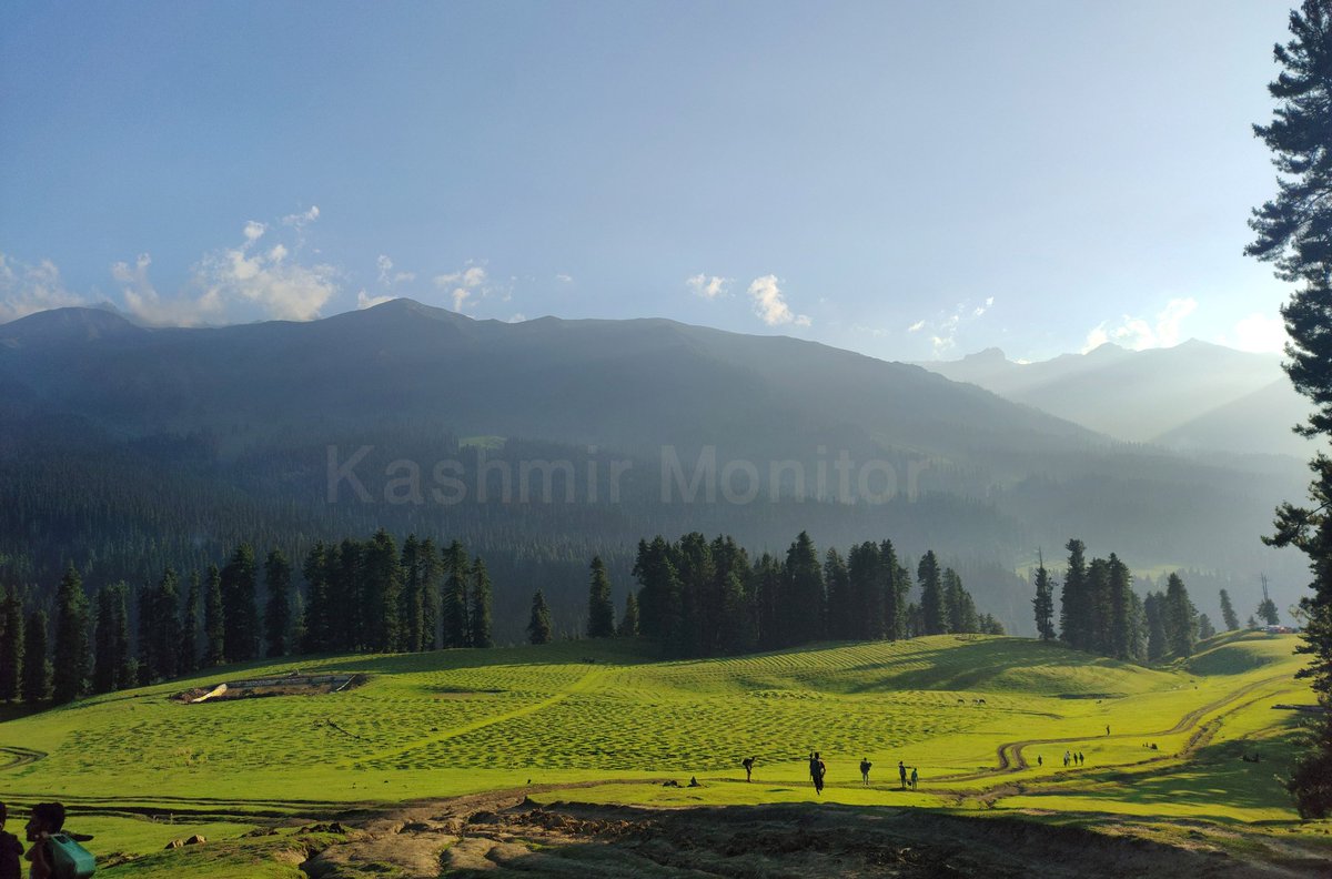 Kashmir_Monitor's tweet photo. Chiranbal is the largest sub-alpine, tourist attraction meadow and a hiking destination in Kulgam district of South Kashmir.

Photos KM / @UmarGanie1 https://t.co/dFaK6S6lSJ