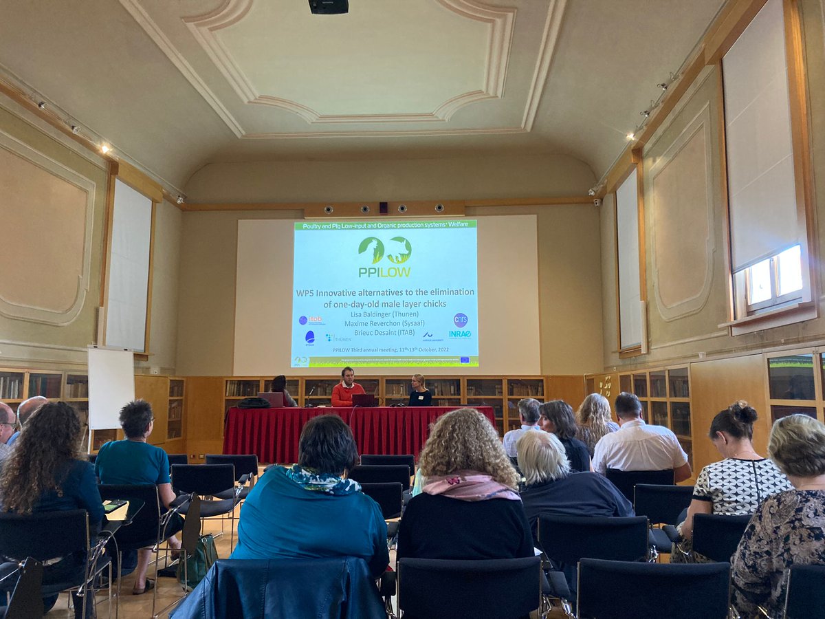 PPILOWH2020's tweet photo. 👩‍🏫The 3rd PPILOW Annual Meeting went on yesterday evening with the presentation of the ➡️ WP4, WP5 and WP7!👇 https://t.co/QcRToKoVbV