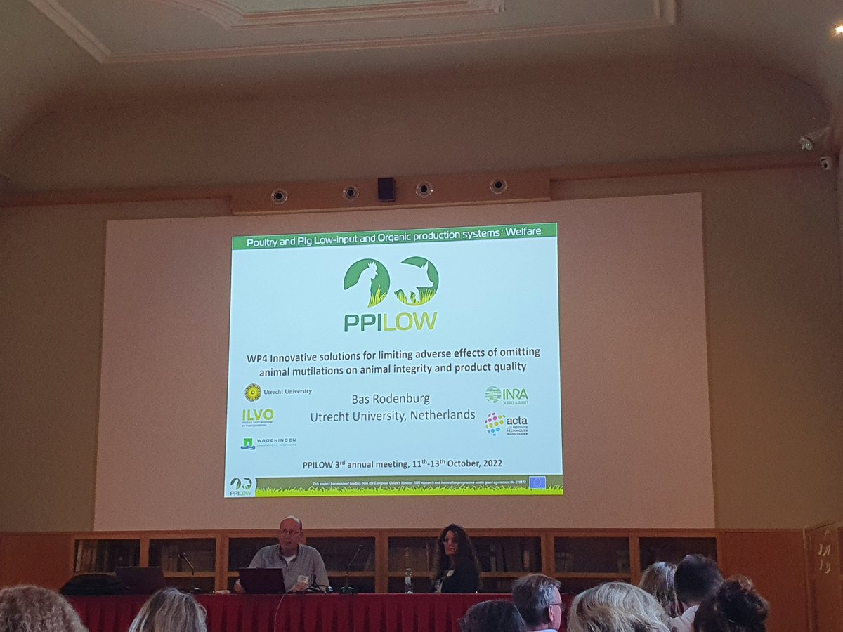 PPILOWH2020's tweet photo. 👩‍🏫The 3rd PPILOW Annual Meeting went on yesterday evening with the presentation of the ➡️ WP4, WP5 and WP7!👇 https://t.co/QcRToKoVbV