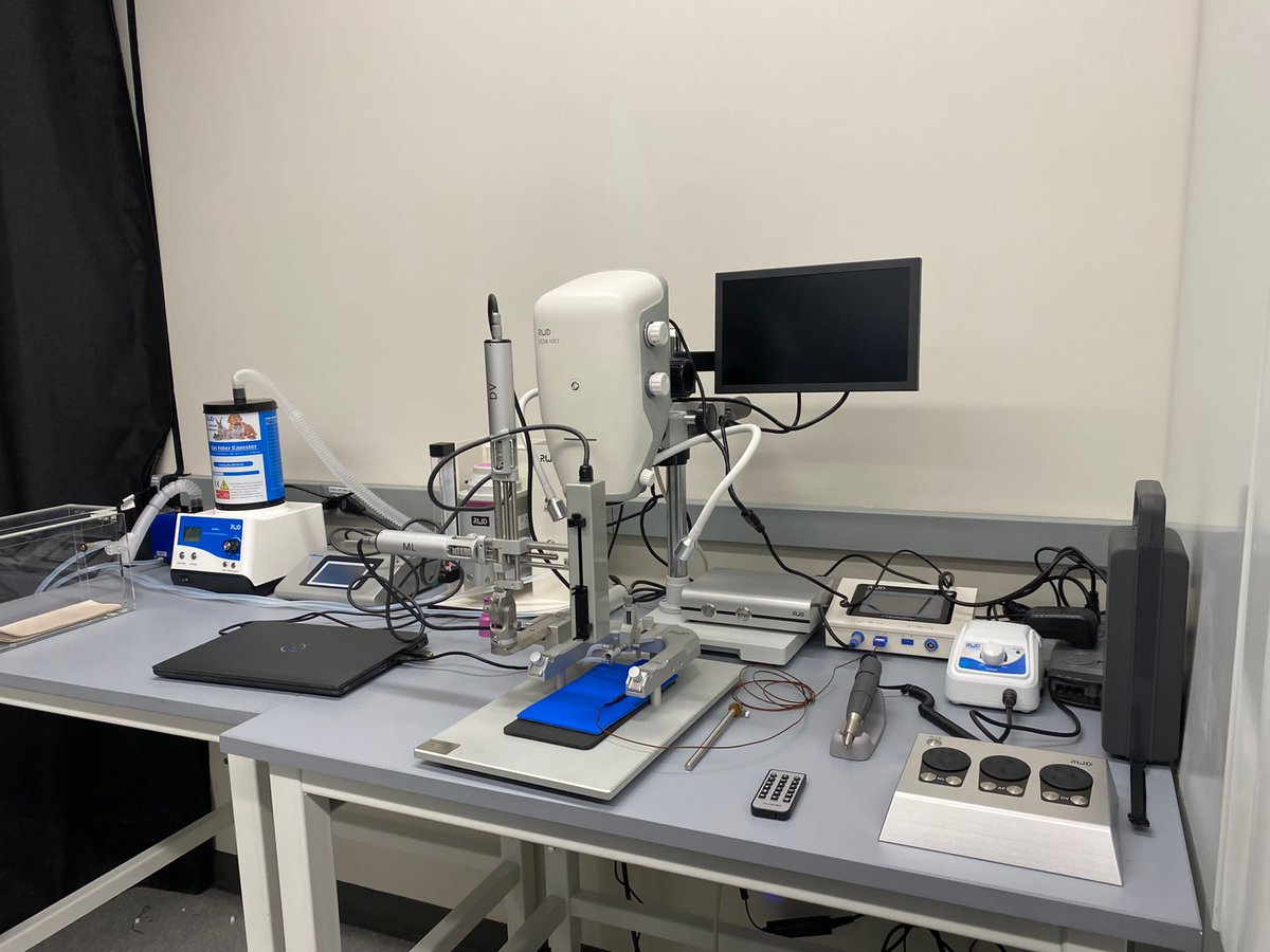 New #Automatic stereotaxic injection surgery system setup in Dr. Pane lab in Yale University. A wonderful job on the assembling. The scene looks beautiful and orderly.
Let's expect for his work on the #Fiberphotometry and #Optogenetics setup. LOL