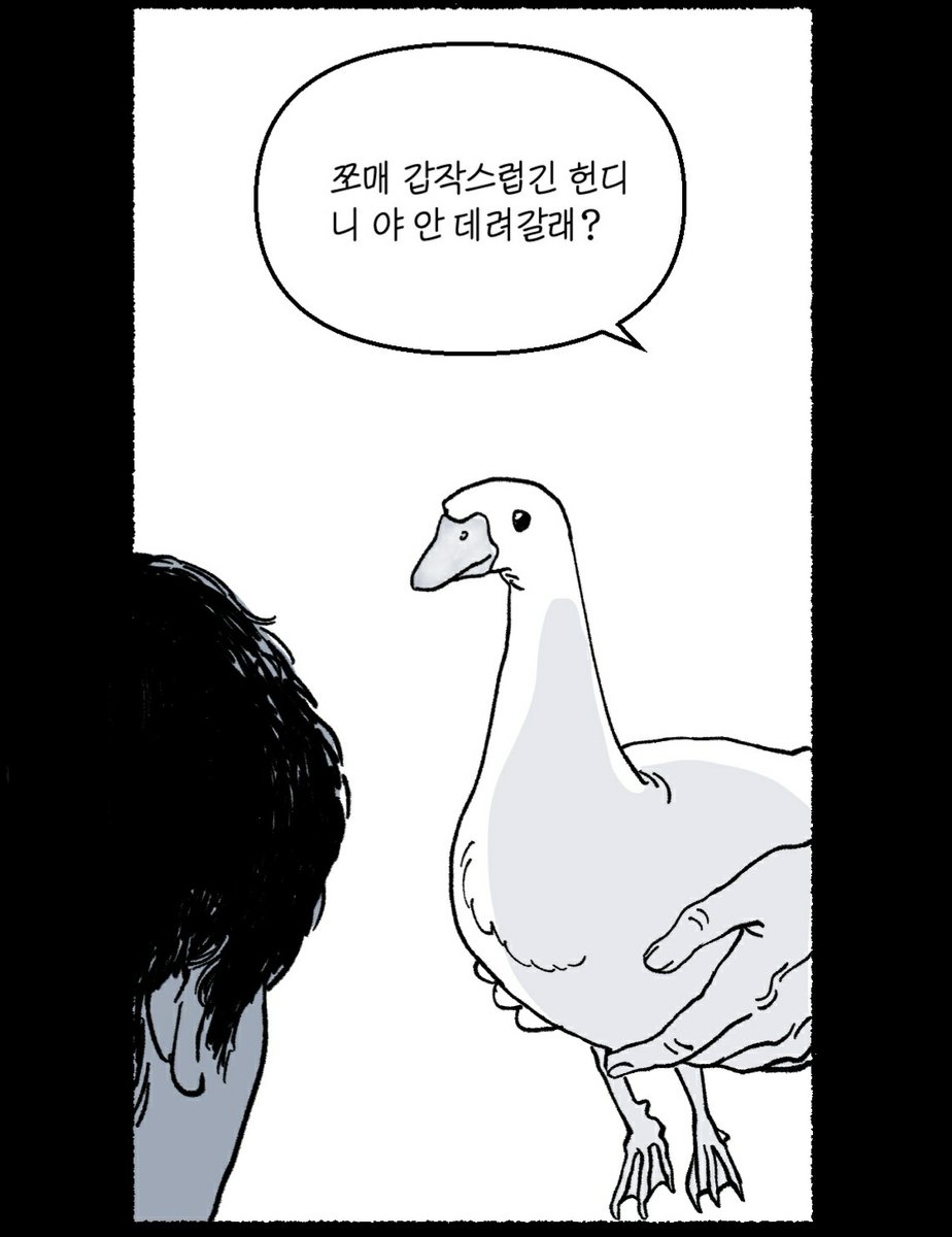 이 거친 세상...거위와 함께.. 