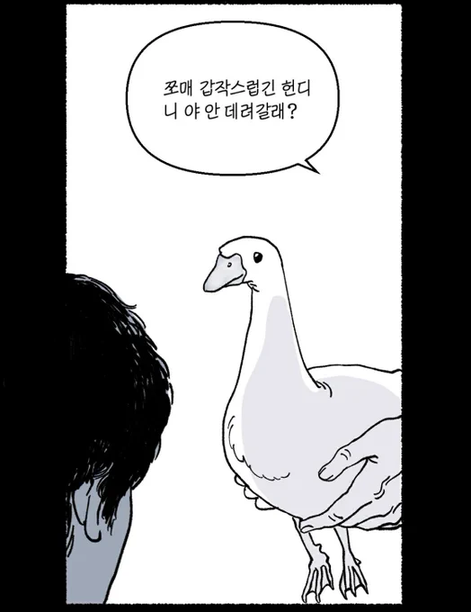 이 거친 세상...거위와 함께.. 