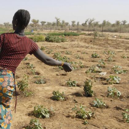 WebMo_'s tweet image. 👉 Forgot to register for our free #webinar TODAY at 2pm CEST &quot;Digital M&amp;amp;E Systems&quot;? No worries, you can still do so! 💡
😀 Register HERE: buff.ly/3ROErR3 
This online #training gives an overview of available approaches. Join us!