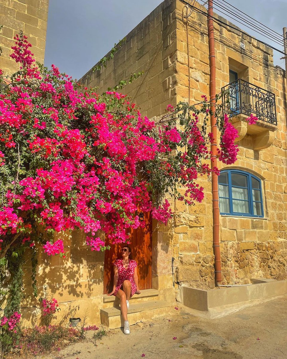 Pretty houses like this one are easy to spot by wandering around the island 🌺 Photo 📸: goyaroxy on instagram.com/p/CizO2ReNDPf To learn more about Gozo, visit: visitgozo.com #Gozo #Malta #VisitGozo #Travel #House #Island
