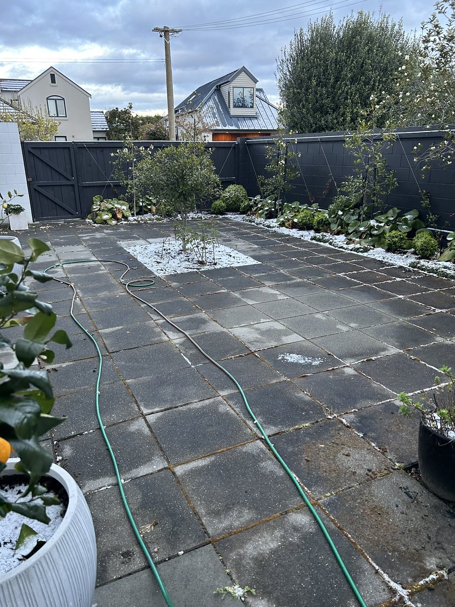 sharonmjay's tweet photo. The disappointment in my father’s voice when I told him I’ve paid someone to water blast my back courtyard. I think he might disown me 😳 #DoItYourself #DIY #Gardening #Outsourcing #TimePoor https://t.co/91T9CYXCfu