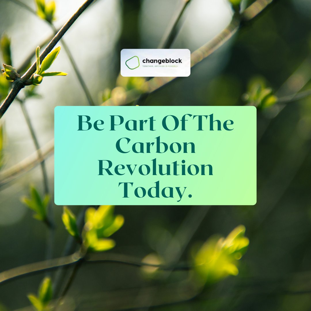 CryptoRyco025's tweet photo. Whether you are a multinational corporation or an individual that wants to offset personal emissions, @Changeblock_io is designed to accommodate everyone’s needs.
Changeblock Essential Links:
https://t.co/yUqIih3upD
#Changeblock #CarbonOffsets #MakeAChange https://t.co/ASEItxjoys