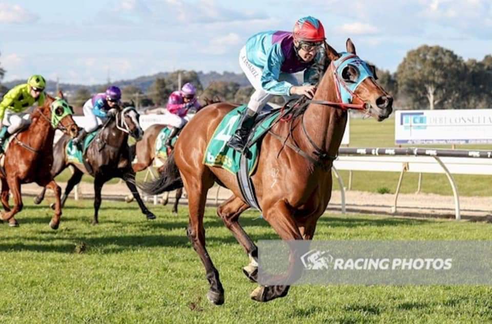 chan_racing's tweet photo. #Vanderland #13th #winner #Aus #HK #Trainer #Wodonga #KillThem  #LongTrip #Thanks #ExOwner #🍻🍻🍻 #🥇 #香港 #練馬師 #辛苦你啦 #贏馬 #多謝 #馬仔 #健康就贏 ＃收韁 #輕勝 #拉唔住 https://t.co/r10xhGiHzQ