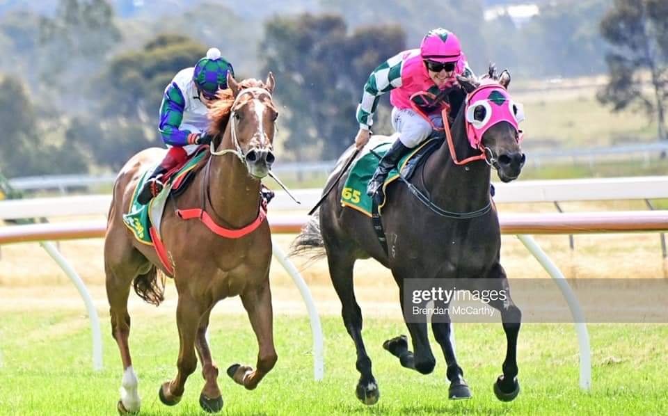 chan_racing's tweet photo. #Antarctic #Ocean #9th #winner #Aus #HK #Trainer #Ararat #FightBack #OldBoss #Terry #Here #Thanks for #Support #Owner #🍻🍻🍻 #🥇 #香港 #練馬師 #辛苦了 #30度 #盡力還擊 https://t.co/UobJB8oK6R