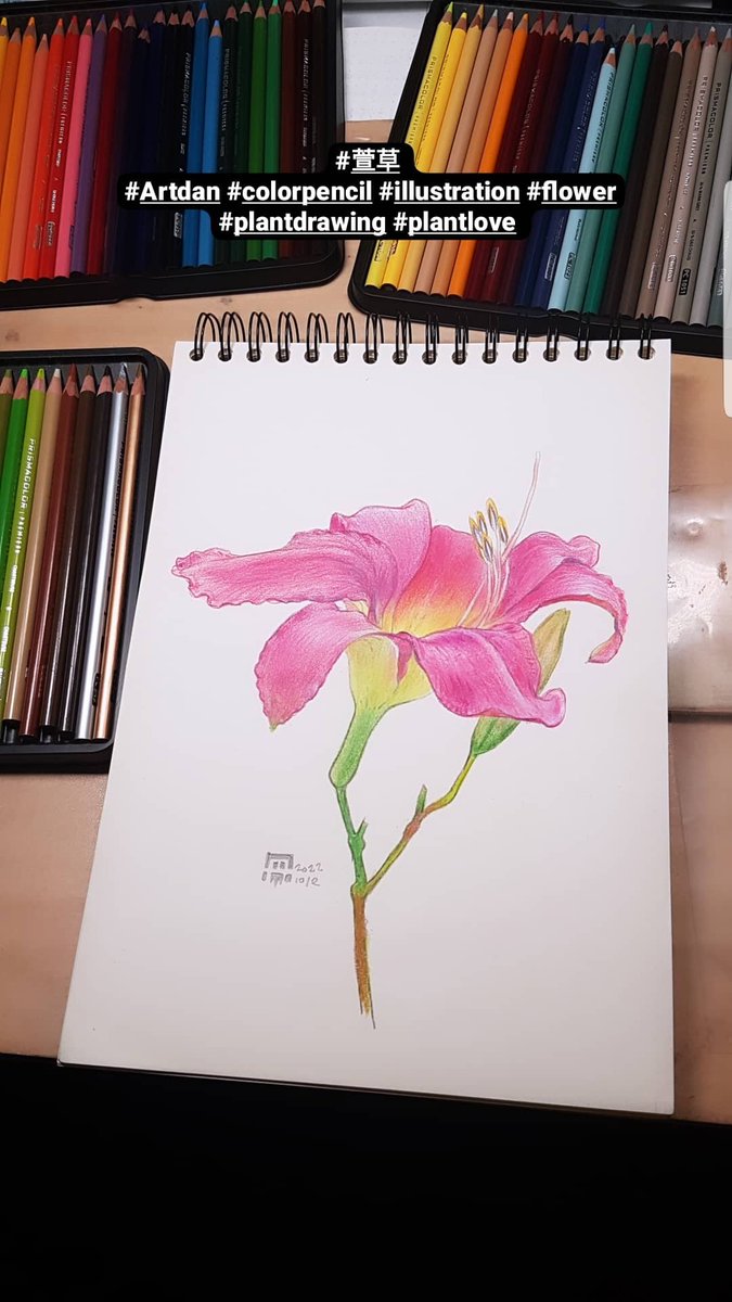 2006danny1's tweet photo. #萱草
#Artdan #illustration #prisma #colorpencil #flower #plantdrawing #plantlove https://t.co/ym67O4yFHU