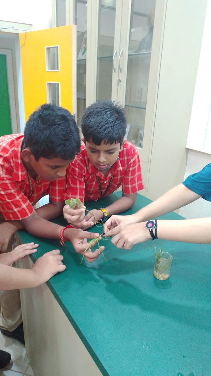 SAI_Edu_In's tweet image. SAIoneers of Class VI went for field observation today to gain some hands-on knowledge about the classification of plants on the basis of their height, kinds of branches and types of roots.
#FieldObservation
#HandsonLearning
#ExperientialLearning