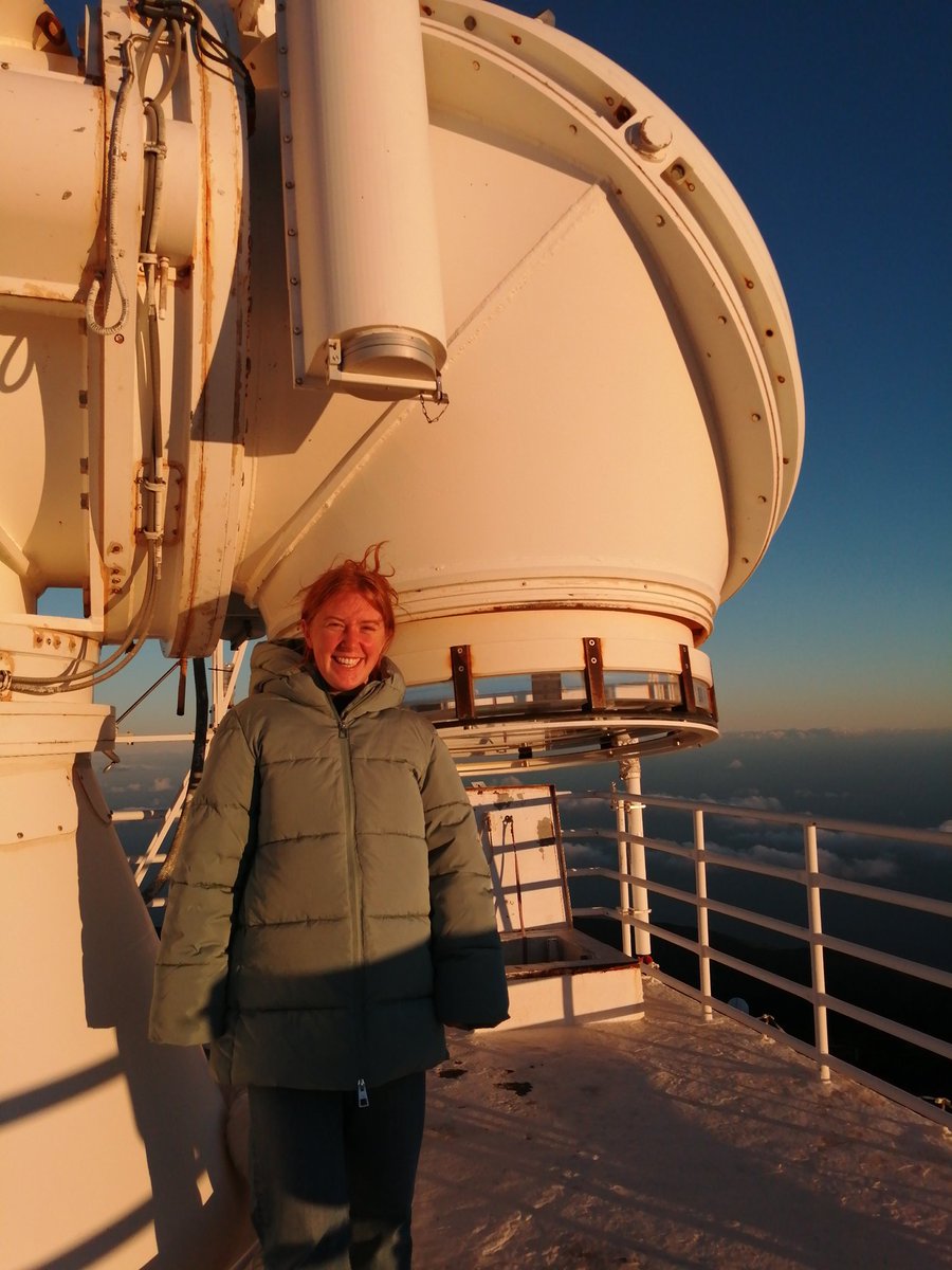 Hannah Collier tweet media