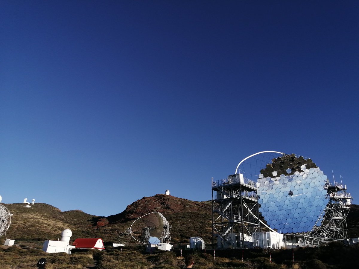 Hannah Collier tweet media