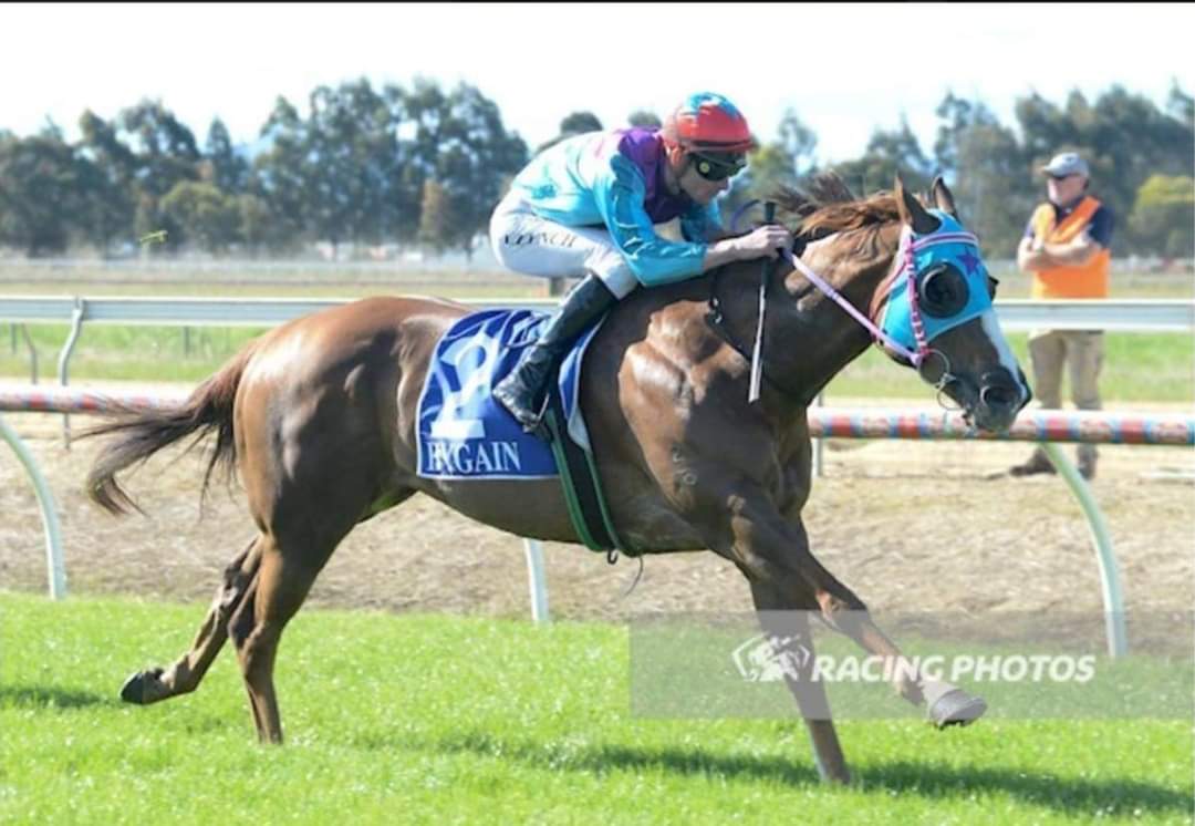 chan_racing's tweet photo. #Starz #Hero #14th #winner #Aus #HK #Trainer #Bairnsdale #lucky #Vet #Pass  #Thanks #ExOwner #🍻🍻🍻 #🥇 #香港 #練馬師 #辛苦你啦 #贏馬 #多謝 #馬仔 #傷完又傷再傷 #年半無出賽 #無放棄 #燒錢 #耐性 #你地啲馬仔痴線咖 #使咩成日對我咁好 #盡力去幫我 #好運 https://t.co/tdwocc1EuL