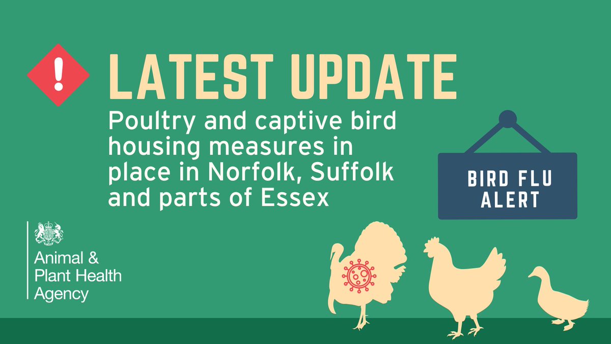 Housing measures to protect poultry & captive birds from #AvianInfuenza are now in force across Norfolk, Suffolk & parts of Essex. This means that in these areas, you must keep your birds indoors & follow stringent biosecurity measures. gov.uk/government/new…