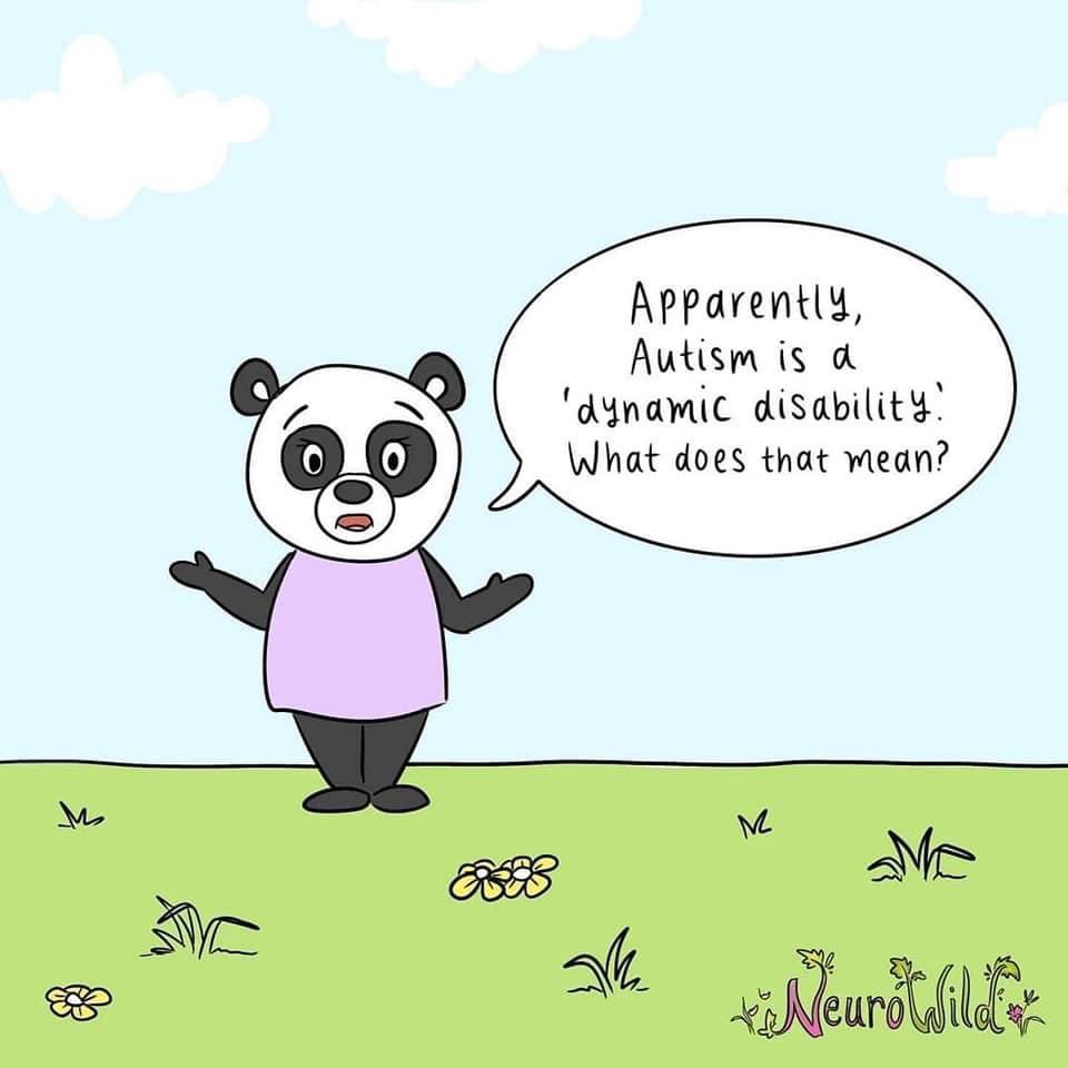 sendadvocacyltd's tweet image. Dynamic Disability brilliantly captures the lives experience of #ActuallyAutistic children and young people, because it illustrates that whilst no two days (or even hours) may look or be the same, the disability remains. #DynamicDisability #SEND