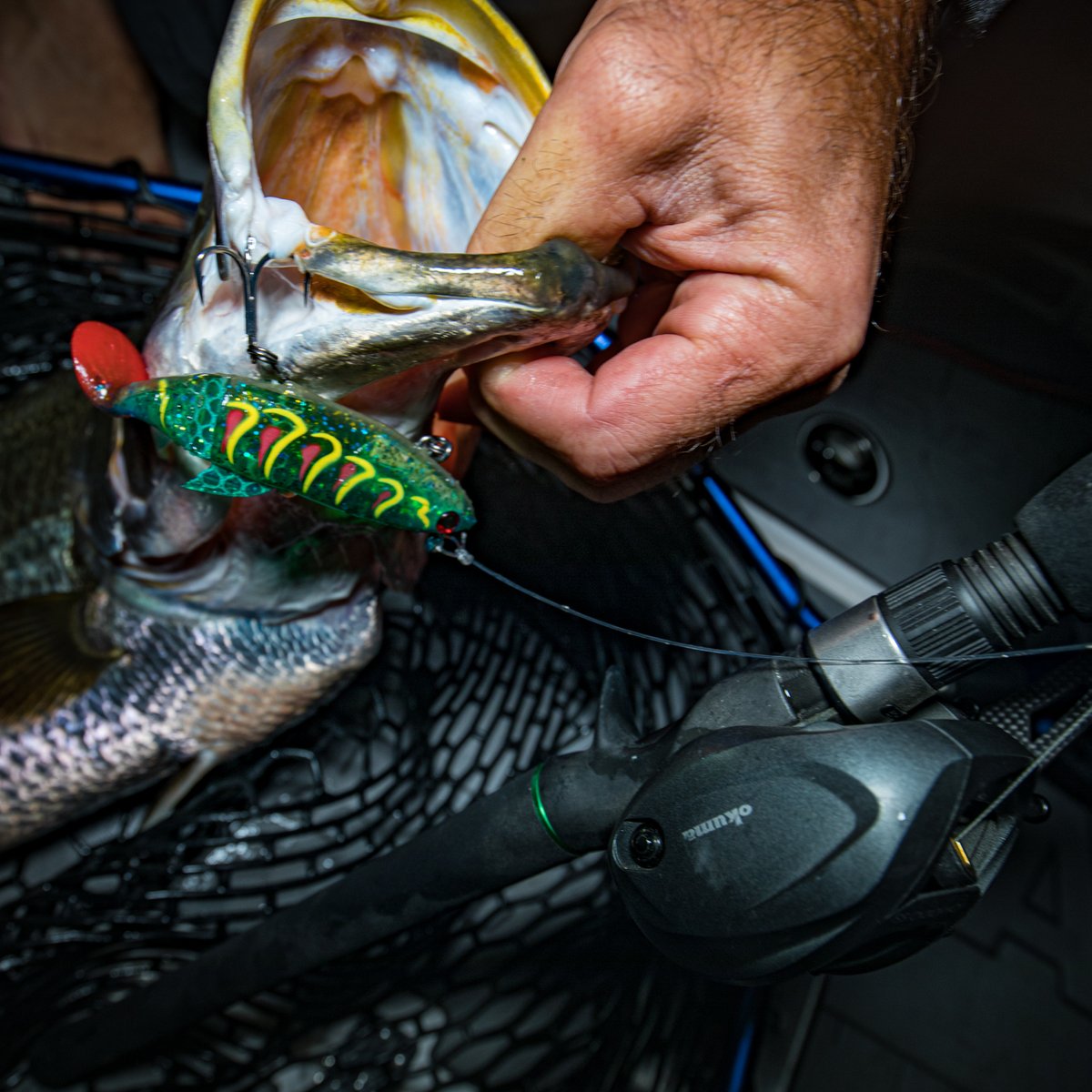 deandotfish's tweet photo. Sometimes you get lucky and catch them on the way out! This fella was just hanging on by his lip on the tail hook of my freshly rigged Redclaw. #redclaw #barramundi #awoonga https://t.co/8TcTl4cd5J
