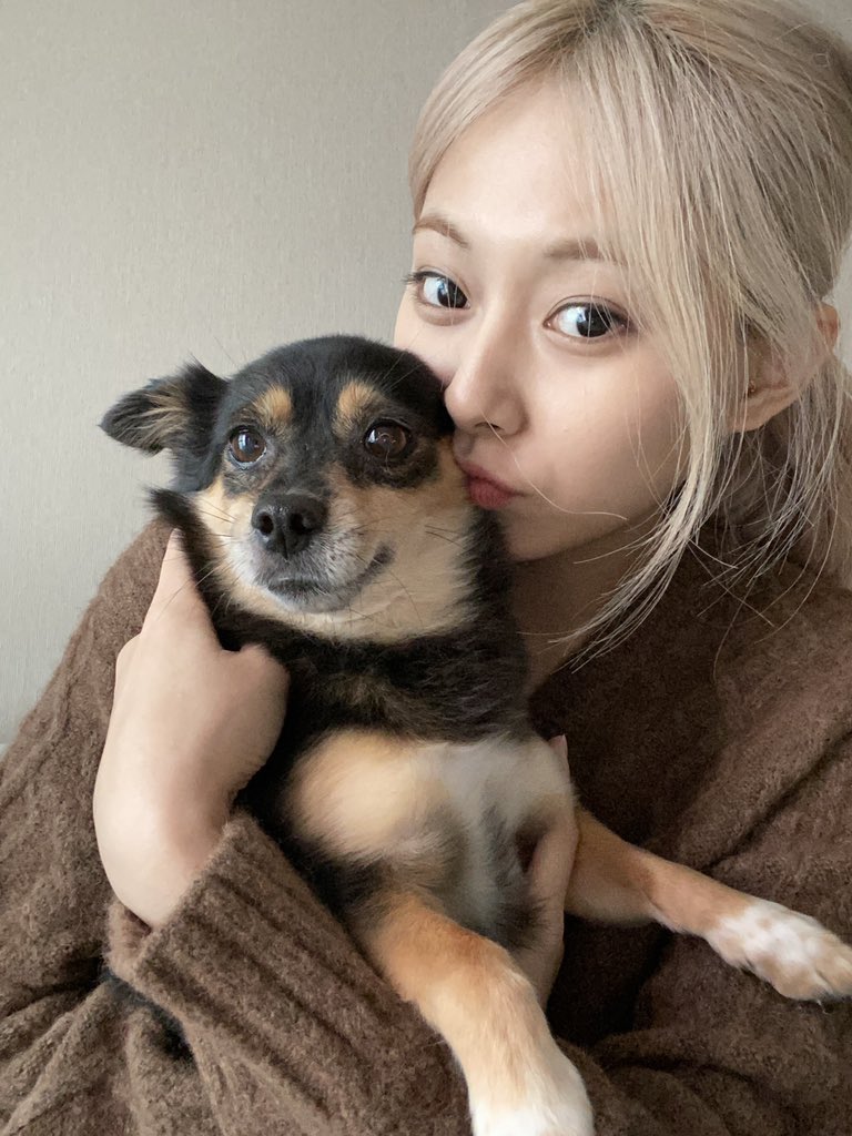 tzuyusbbl's tweet photo. 5:00 PM KST 📸 https://t.co/ChsdttHKCh