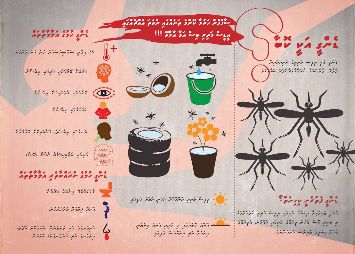 ޑެންގީ އަކީ އީޑީސް މަދިރީގެ ޒަރިއްޔާއިން ފެތުރޭ، ފުރާނައަށް ނުރައްކާވެދާނެ ފަދަ ބައްޔެއް.

ޑެންގީއިން ރައްކާތެރިވުމަށް މަދިރި އުފެދޭ ތަންތަން ނައްތާލަމާ!