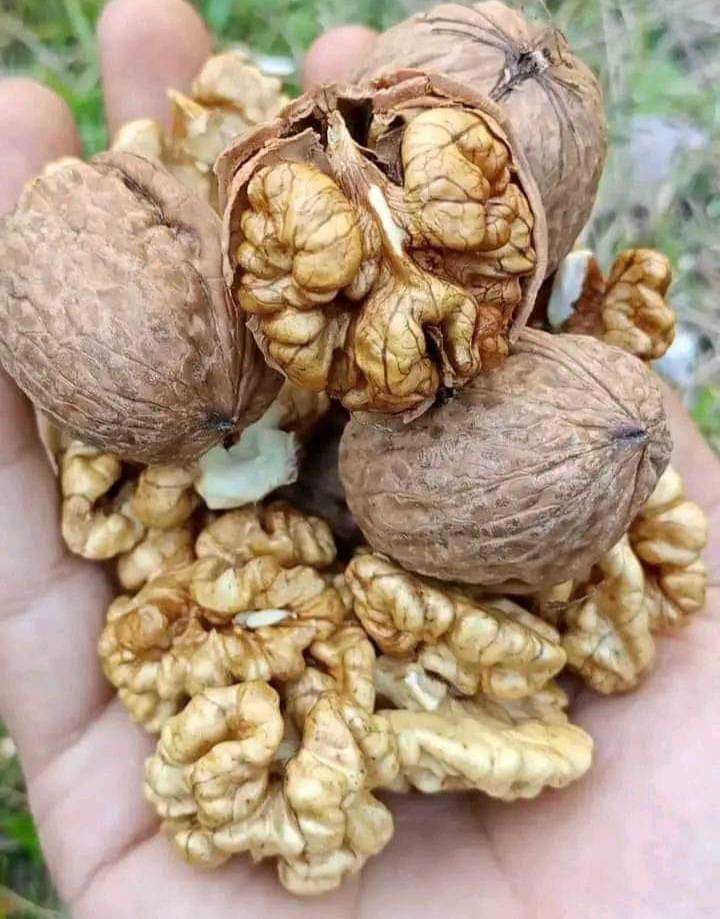 OnlineKabul's tweet photo. د آیت الکرسی ګټي:
1 .د کور نه دوتلو په وخت کی دایت الکرسی ویل 70000 فرشتی به ستا ساتنه کوی
2 .کور ته د ننوتلو په وخت کی د ایت الکرسی لوستل
ڪـــه مو آیت الڪـرسي تر پایه لوستې وي په ڪـومنټ ڪـــې (الحمدلله) ولیڪئ.
#Ayatulkursi #Islamicview #Mashallah #Subhanallah #Zikar #Azkar https://t.co/2hE4TroGQo
