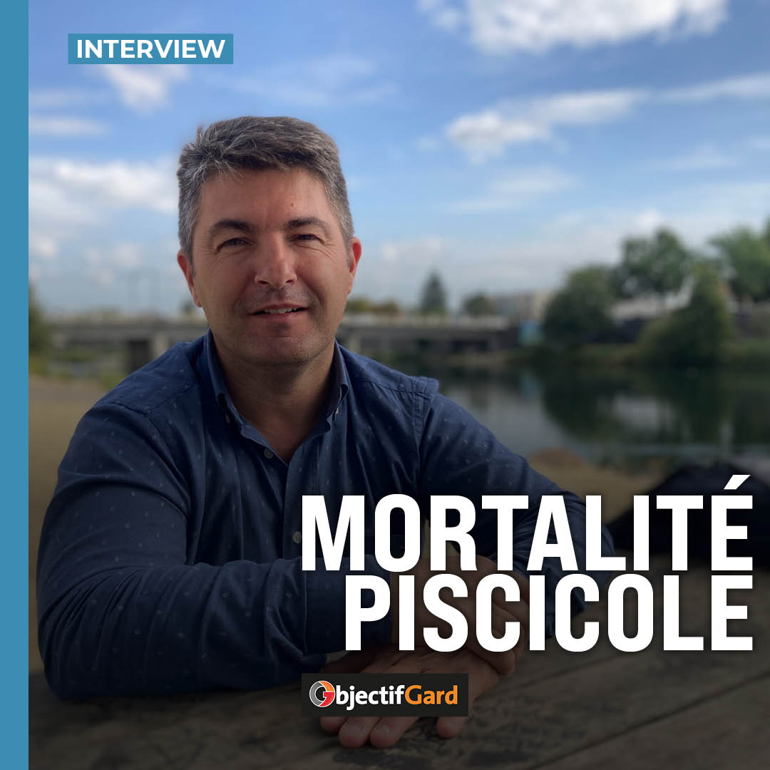 objectifgard's tweet image. Alors que la pêche a été interdite, entretien avec le président de la fédération de pêche du Gard, l’Alésien Vincent Ravel, qui représente 16 000 adhérents et ne cache pas son inquiétude pour les saisons à venir.

▶️ objectifgard.com/2022/10/12/lin…

 #Peche #Ales #APPMA #Gard #Occitanie