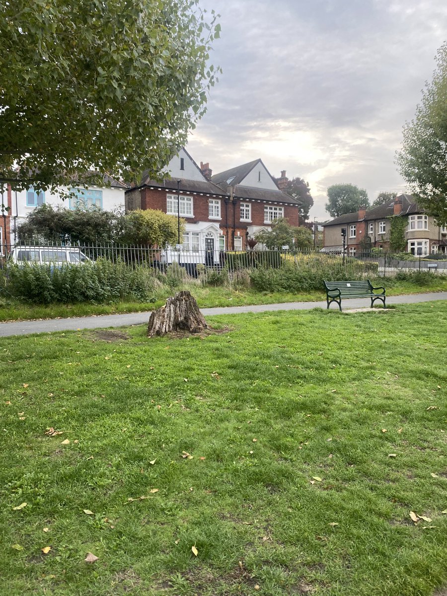 Hey there ⁦<a href="/lambeth_council/">Lambeth Council</a>⁩ there's a aggressive wasp nest in this tree stump at the top of Ruskin Park
///finger.create.taken
