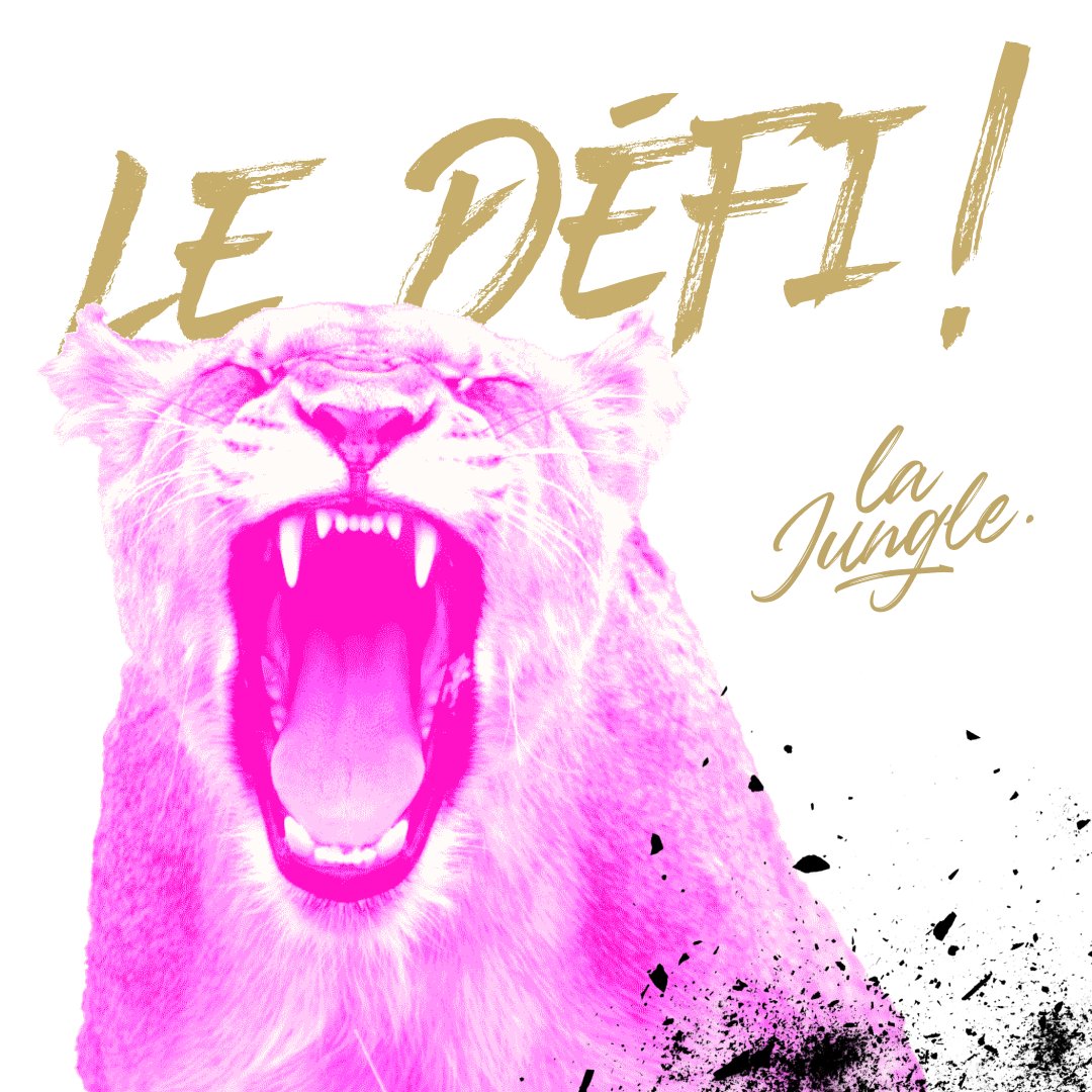 🦁 La Jungle Design tweet media