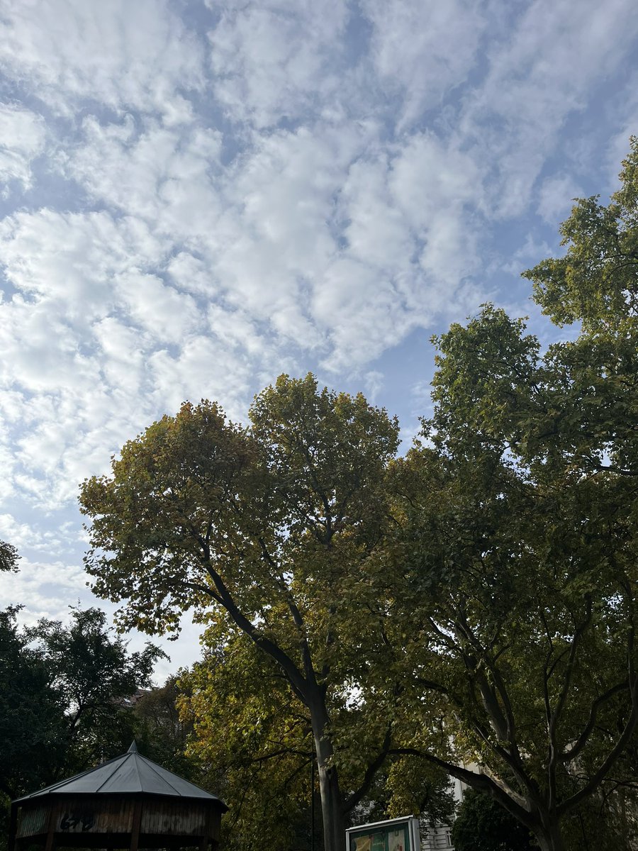 pachlerroman's tweet photo. ๐ฆ๐น๐#wienliebe๐๐ฆ๐น
๐ฆ๐น๐#wieden๐๐ฆ๐น
๐ฆ๐น๐#Draschepark๐๐ฆ๐น
๐๐๐#Trainingsrunden๐๐๐
๐ฆ๐น๐#Austria๐๐ฆ๐น
๐ฆ๐น๐ฅฐ#zusammenhalten๐ฅฐ๐ฆ๐น
๐ฆ๐น๐#รsterrech๐๐ฆ๐น๐#Wien๐๐ฆ๐น
๐๐ปโโ๏ธ #stayalive #bleibgesund
โผ๏ธโผ๏ธ๐๐ปโโ๏ธ#halteAnstand ๐คท๐ปโโ๏ธโผ๏ธโผ๏ธ https://t.co/2SwfaoW82N