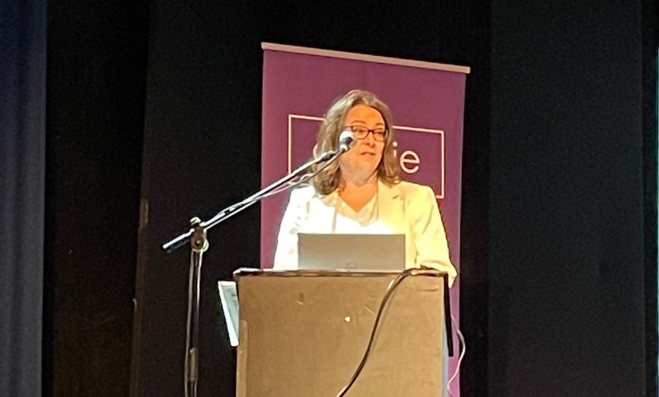IrishCompSoc's tweet photo. Anne-Marie Bohan, partner at @MathesonLaw speech on new EU #dataprotection legislation is on now at #dpconf22 https://t.co/RNRNiKb2bM