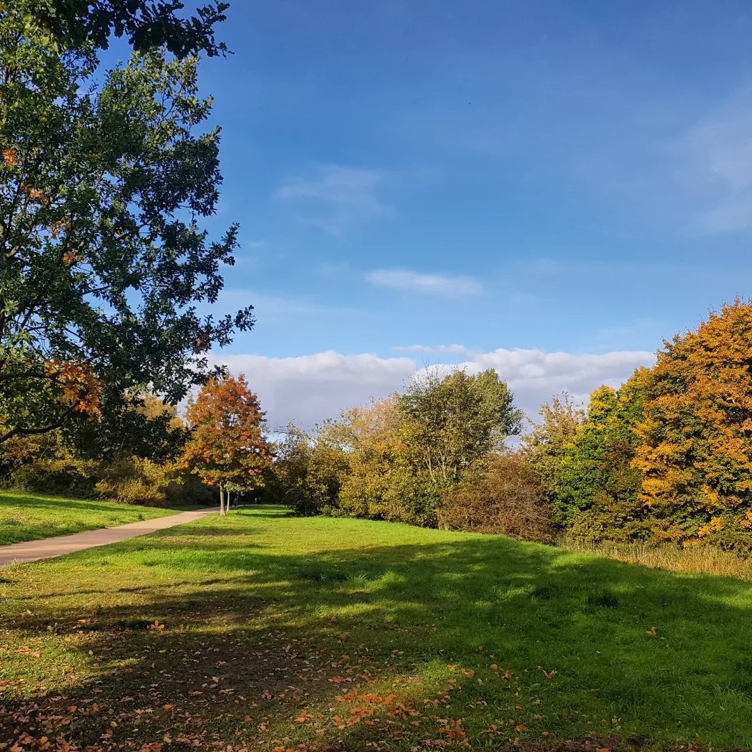 bikeygees's tweet photo. Welch wunderschöner Herbsttag, da draußen in #marzahn 😎🚴‍♀️🌞🍁 Selbst die schmalen Trampelpfade werden mittlerweile recht souverän von den meisten absolviert. 🤘🏼🚴‍♀️👏 #autumnvibes🍁 #GesellschaftlicherZusammenhalt #bgzvorort #womenempowerment #einfachmachen #cyclingisfreedom 😘 https://t.co/m1eRJARQP0
