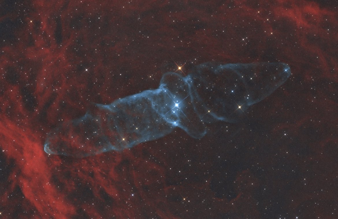 spacembraced's tweet photo. Giant Squid Nebula!!! 🌌
#Ou4 #Astrophotography #space https://t.co/R9YgyGYIVl
