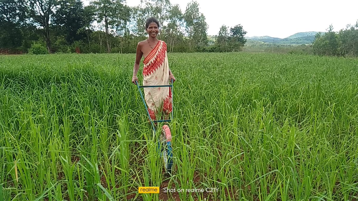 Avimanyu_Ragadi's tweet photo. @CMO_Odisha @krushibibhag @dmkoraput @rajaaswain @PRADAN_India @WASSANIndia We are happy to interacting with Millets farmer during field visit At Dudipadar village ,Lamtaput ,Koraput. #Millets_mission. https://t.co/wO7IDj20FR