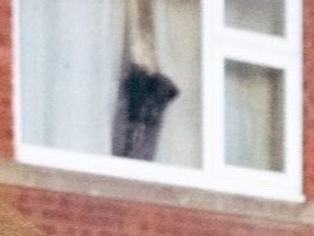 OnionClub1's tweet photo. Tucking into Bob Carver's at Hull Fair. #Cujo #Doggyinthewindow https://t.co/FKLbQwIDDX