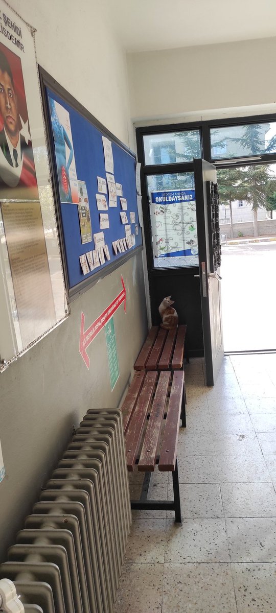 Nevsehir Acıgöl M.Zeki Hanoğlu İlkokulu (@mzhanoglu) on Twitter photo 