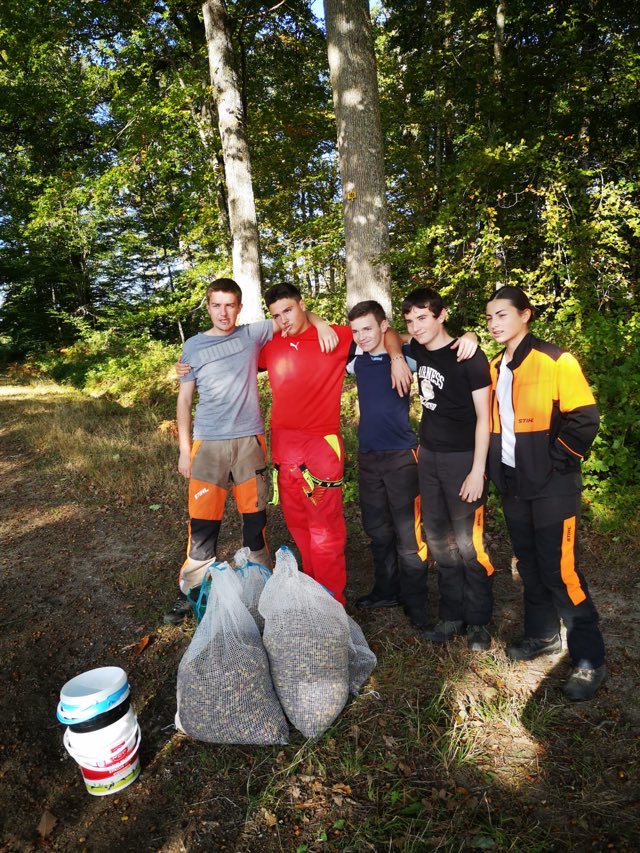 LPABlaRolande's tweet photo. 🌳#ramassage des glands en forêt d'#Orléans pour la sécherie de la Joux de @onf_officiel avec la classe des 1ère Bac Pro #forêt le jeudi 6 octobre.🍂

@Agri_Gouv @RCValdeLoire @leloiret @ONF_Officiel https://t.co/lqNMeJz0kG
