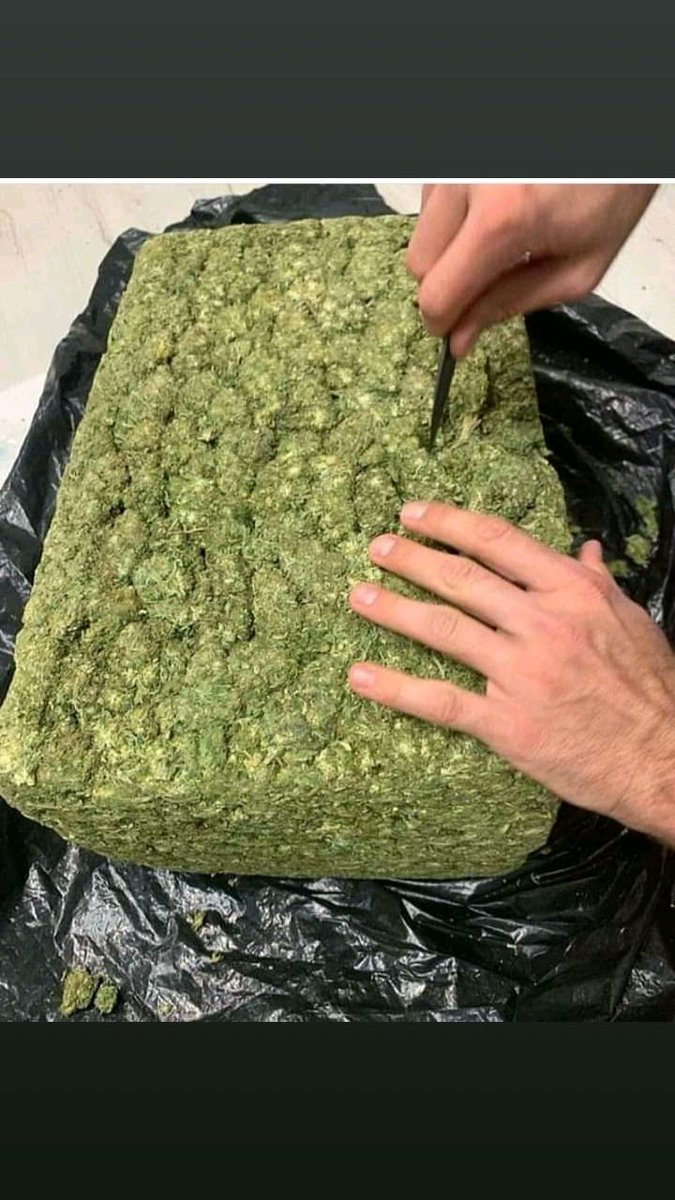 Contact me on WhatsApp 👉👉+15087314375