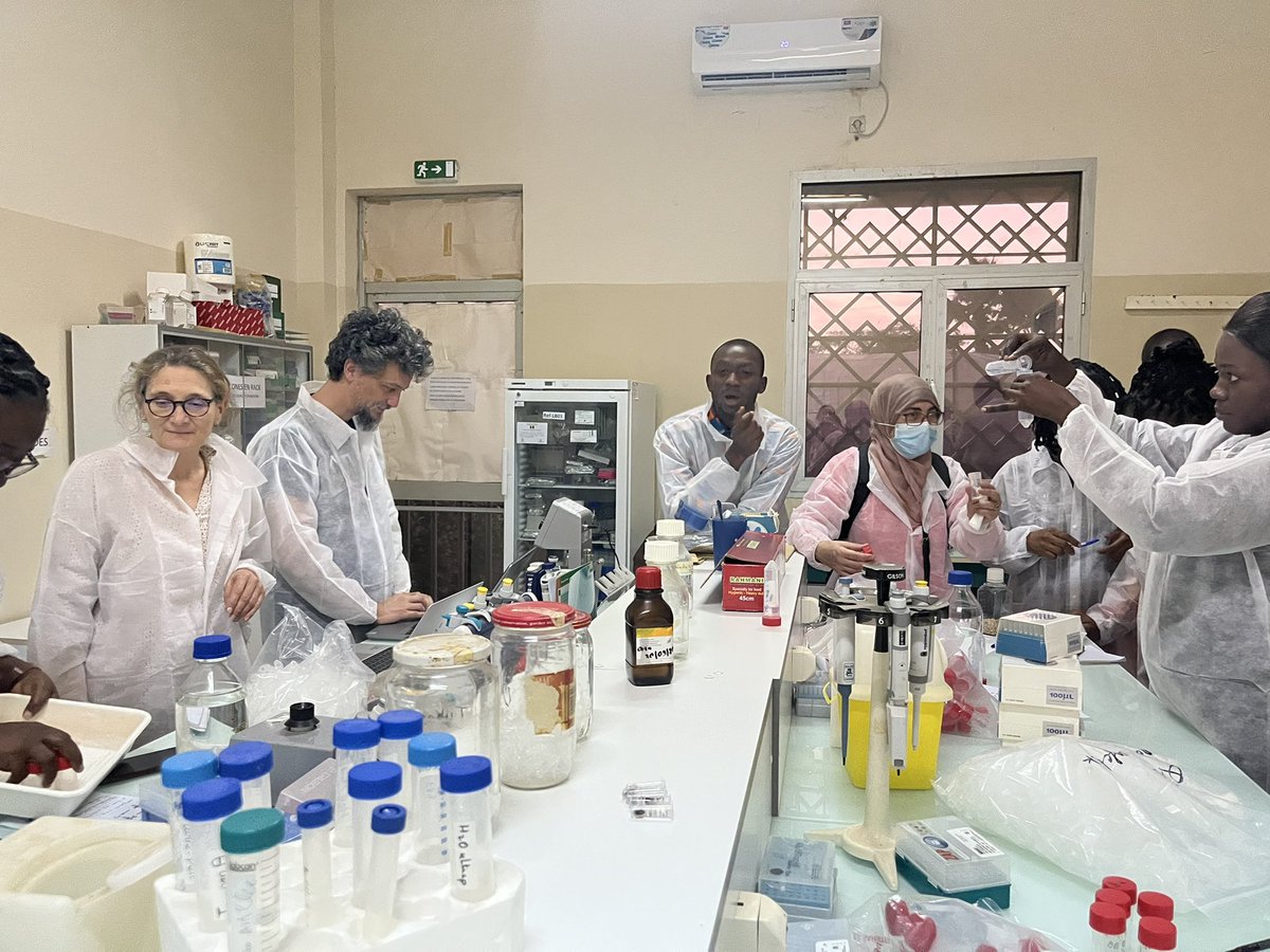 Mathilde Hutin tweet media