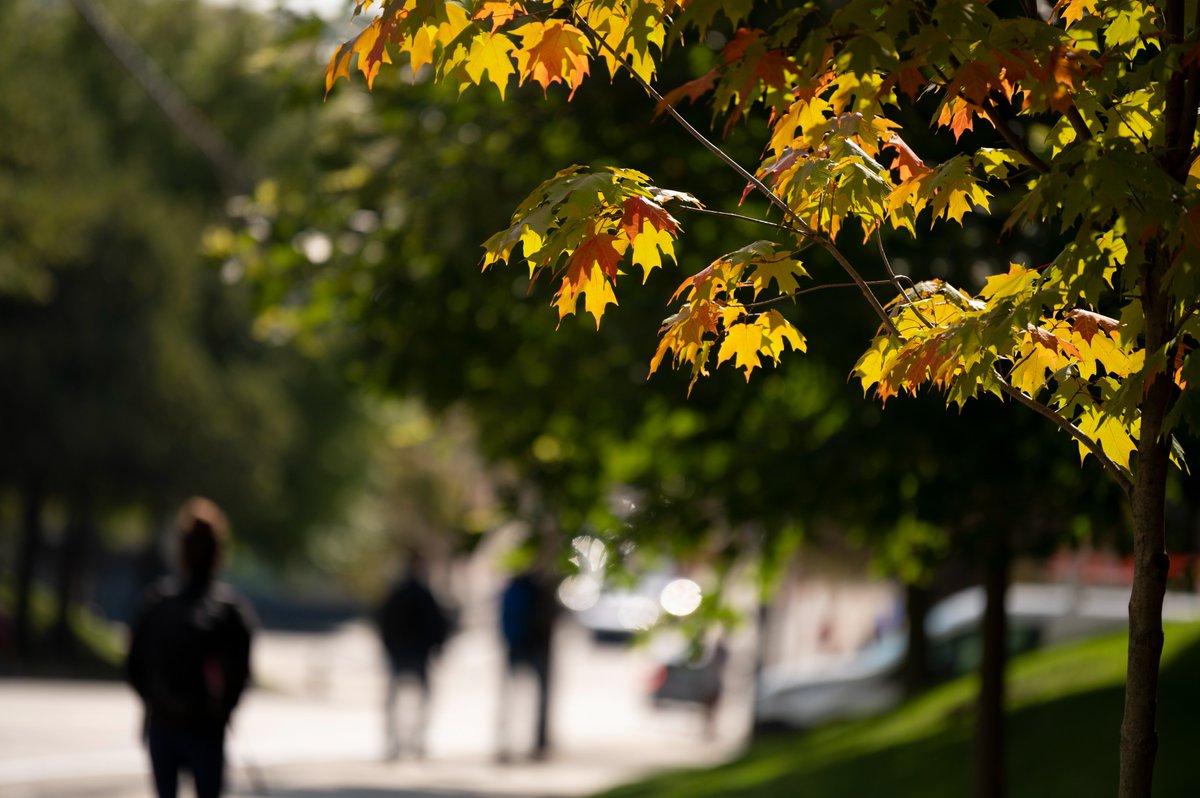 University of Pittsburgh tweet media