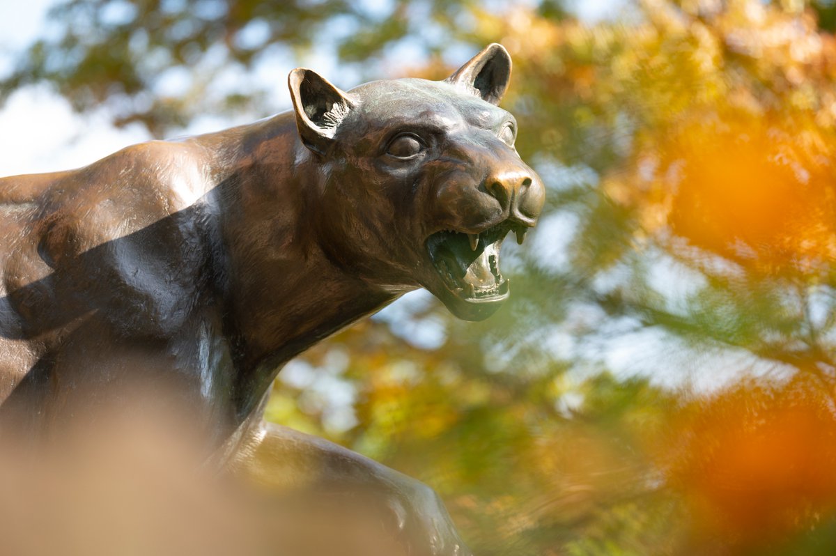 University of Pittsburgh tweet media