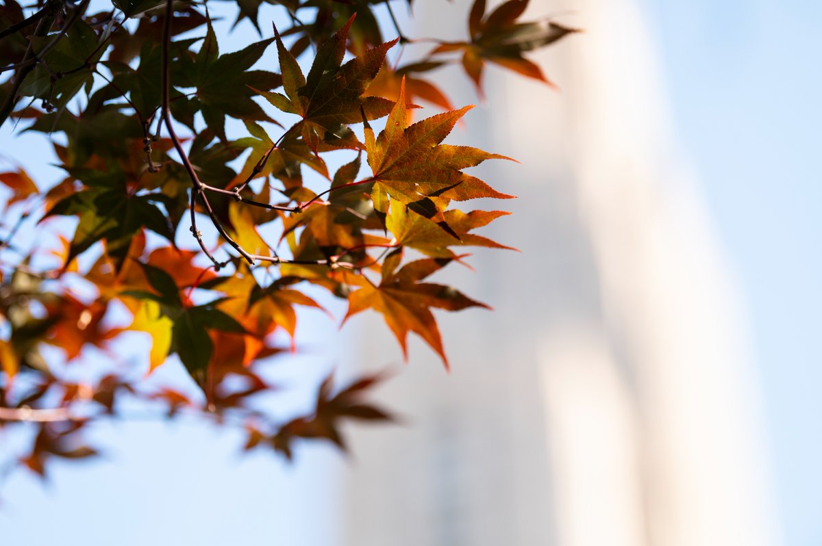 University of Pittsburgh tweet media