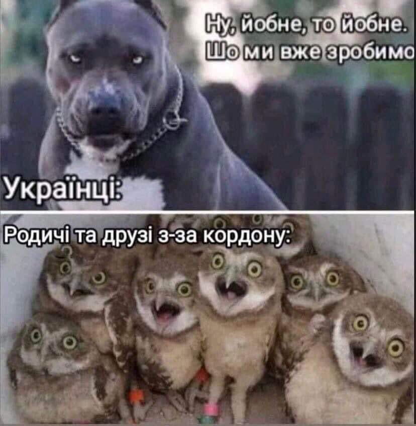 Я і мої рідні: