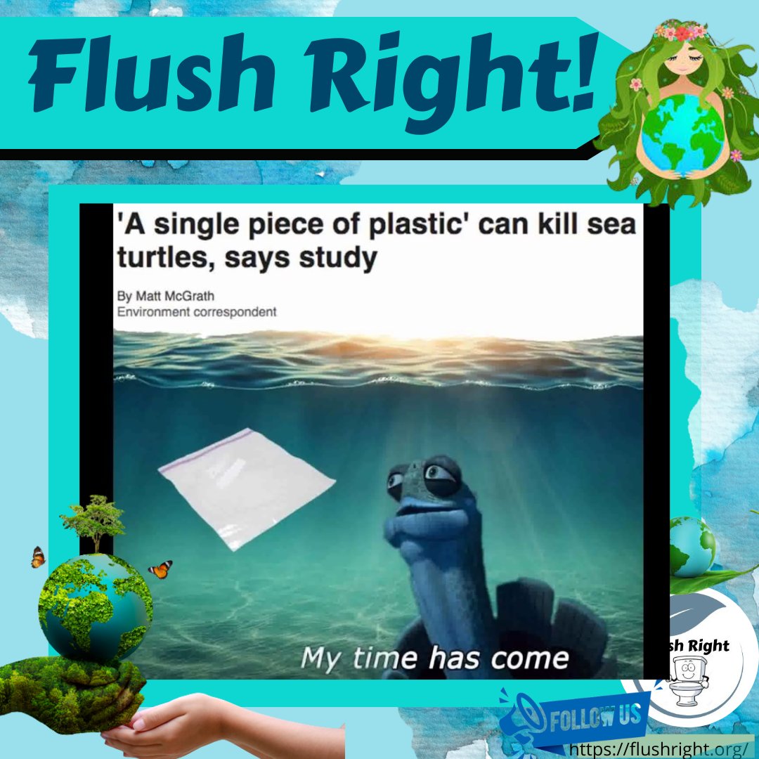 A single piece of plastic can kill sea turtle .Flush Right: Happy Flushie 🚽 There is a lot of work in protecting our planet and its resources...but we can start today! Please like my page and go here: flushright.org :) Help Happy Flushie to have more likes and follow