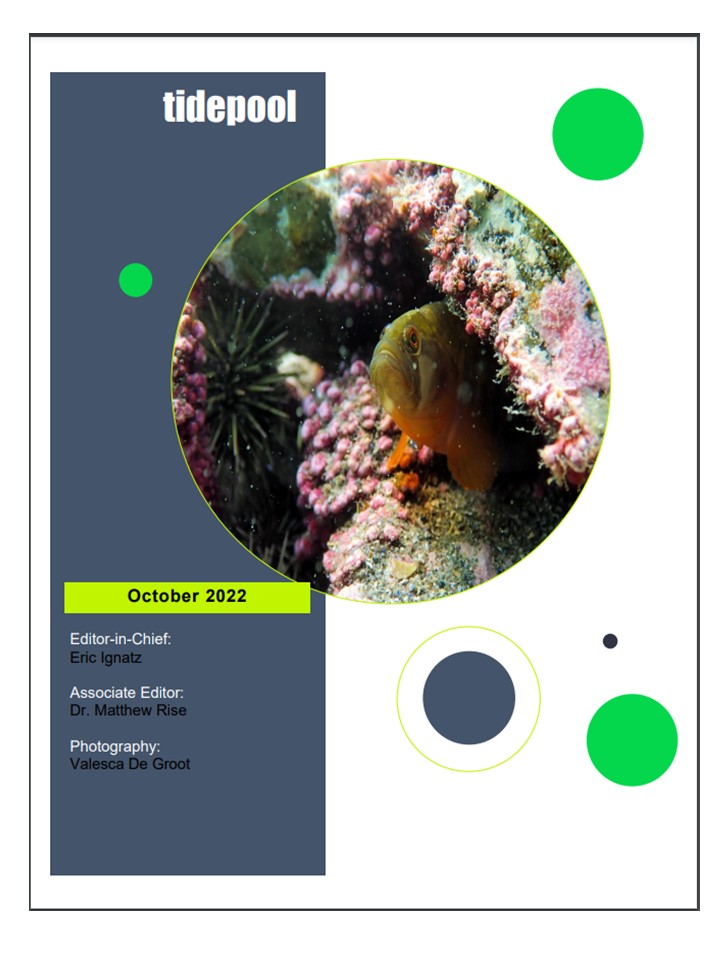 The October 2022 addition of the OSC Tidepool. Celebrating the OSC Community! mun.ca/osc/media/prod…