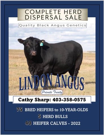 rodvangfarms's tweet photo. ⁦ https://t.co/4WvRbcvxSe