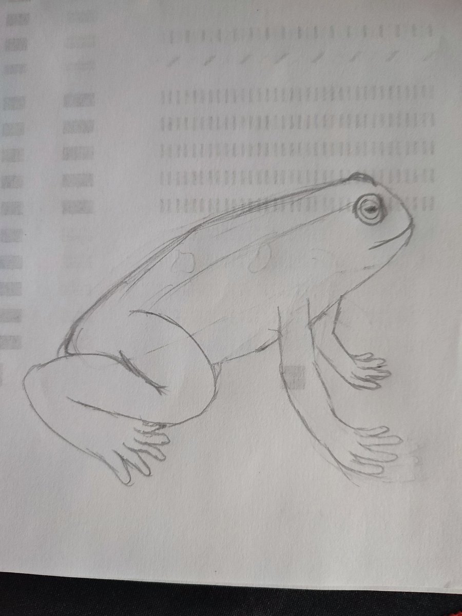 Pravdaaa tweet media