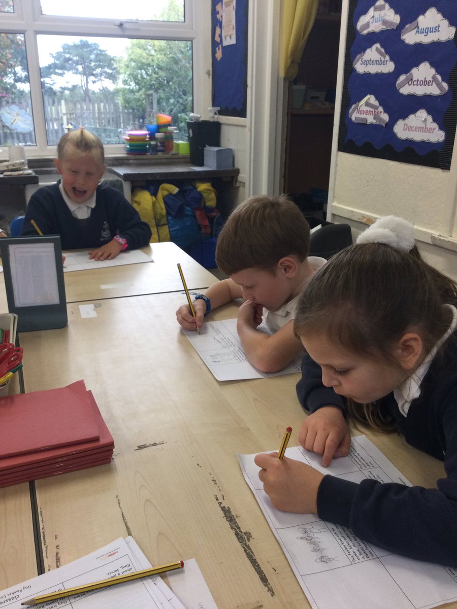 Shotley Zebras tweet media