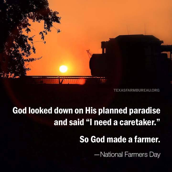 On #NationalFarmersDay and every day, farmers and ranchers care for the land, animals, natural resources and their families.

They have faith when times are tough. And remain optimistic—despite the unpredictable nature of farming.

Read more: txfb.us/TTT101221