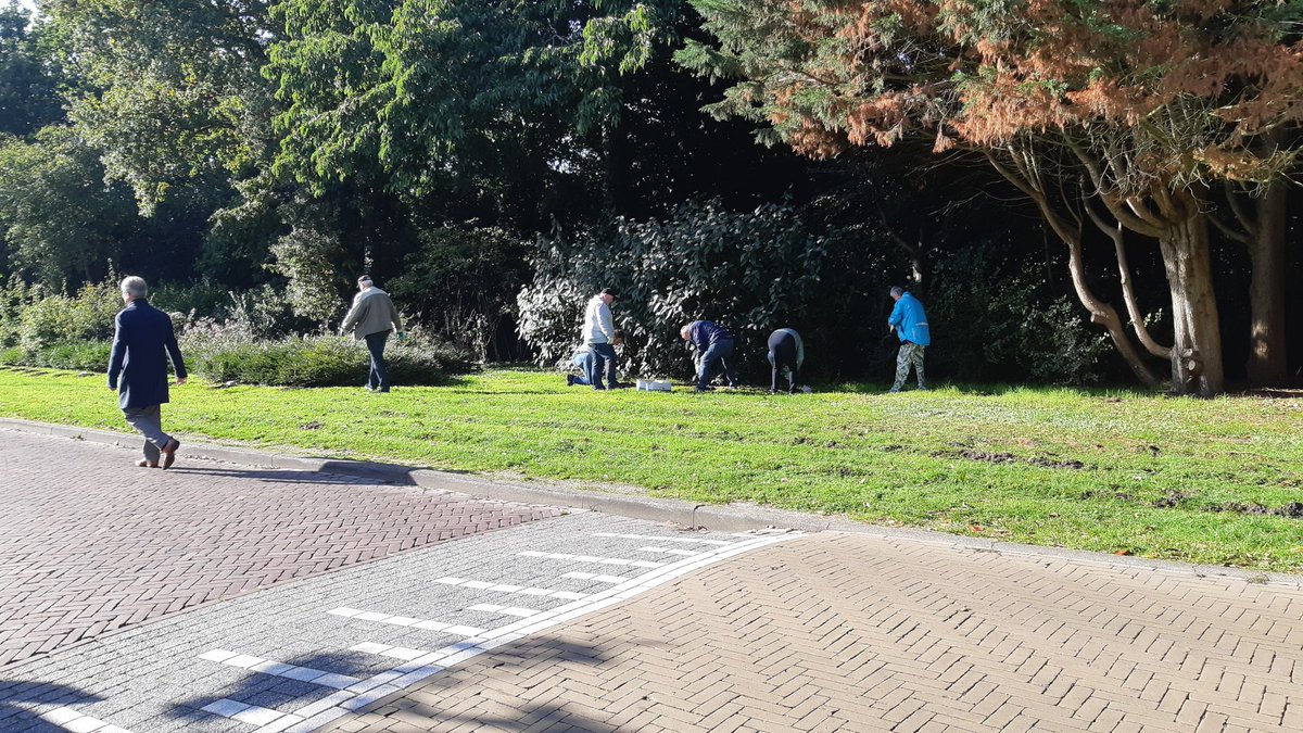 Met dank aan Dunavie hebben bewoners van de Baton van Wassenaerlaan vanmorgen bollen geplant.